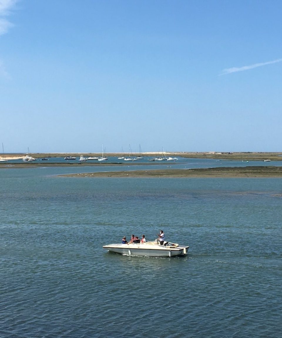 Ria-Formosa-Eco-Boat-Tour-2